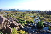 Mount Rainier National Park - Stream