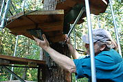 Rainbow Bridge - Stairs - Bill Compher