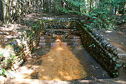 Mount Rainier National Park - Longmire - Iron Water Spring