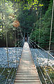 Mount Rainier National Park - Suspension Bridge