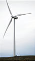 Wild Horse Wind Farm - Windmill - Deer