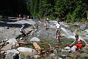 Playing in the Water