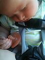 Lyra - Carseat - Sleeping (Photo by Laura) Lyra - Carseat - Sleeping (Photo by Laura)