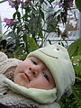 Thanksgiving - Volunteer Park - Greenhouse - Lyra