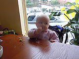Thanksgiving - Octo Sushi - Lyra
