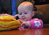 Thanksgiving - Lyra - Gourds