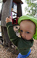 RI - Farm - Lyra - Feed Dispenser RI - Farm - Lyra - Feed Dispenser