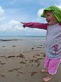 RI - Beach - Lyra RI - Beach - Lyra