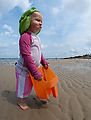 RI - Beach - Lyra RI - Beach - Lyra
