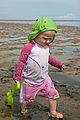 RI - Beach - Lyra RI - Beach - Lyra