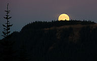 Sun Top Lookout - Moon