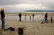 Beach - Tideflats - Hansville