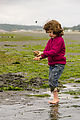Beach - Tideflats - Hansville - Noe