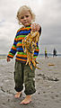 Hood Canal - Beach - Tideflats - Hansville - Dead Crab