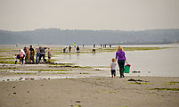 Beach - Tideflats - Hansville - Clamming