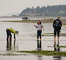 Beach - Tideflats - Hansville - Laura - Morgan - Mark