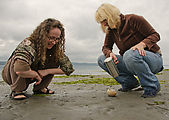 Beach - Tideflats - Hansville - Carrie - Corrie