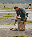 Beach - Tideflats - Hansville - Geoduck