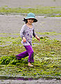 Beach - Tideflats - Hansville - Lyra