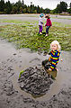 Beach - Tideflats - Hansville - Sand Castle - Winslow