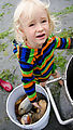 Beach - Tideflats - Hansville - Bucket of Geoducks and Moon Snails - Winsow