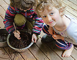 Tamarack - Mud - Noe - Lyra