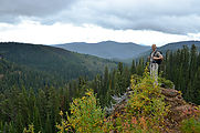 Shedroof Divide Trail - Leaves - Fall Colors