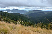 Shedroof Divide Trail