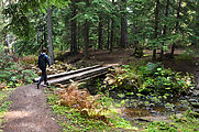 Muskegon Creek Camping - Bridge