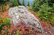 Abercrombie Mountain - Leaves - Fall Colors - Rock