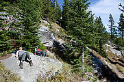 Sherman Loop Trail - Nap