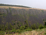 Reecer Creek Road - Reecer Canyon