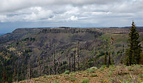 Table Mountain - Lion Rock