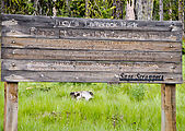 Naneum Ridge - Judy's Tamarack Park - Sign