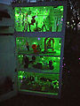 Floodland - Fridge