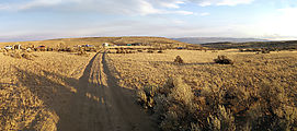 Floodland - Camp - pan