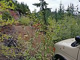 Keechelus Ridge - Bump in Overgrown Brushy Road