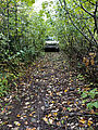 Keechelus Ridge - Overgrown Road to Little Pond - Sportsmobile