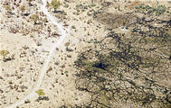 Botswana - Flight to Moremi - View from the air