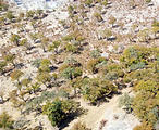 Botswana - Flight to Moremi - View from the air