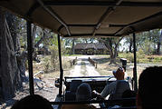 Botswana - Moremi - Xakanaxa Camp - Safari Truck