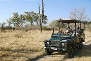 Botswana - Moremi - Safari Truck