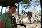 Botswana - Moremi - Elephant - Laura