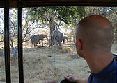 Botswana - Moremi - Elephant - Geoff