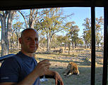 Botswana - Moremi - Lion - Geoff