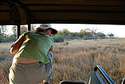 Botswana - Moremi - Lion - Laura