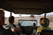 Botswana - Savute - Safari Truck - Elephant