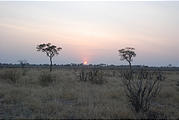 Botswana - Savute - Sunset