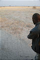 Botswana - Savute - Tracks