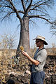 Botswana - Savute - Baobob - Geoff